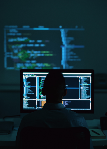 Software Development & Integration